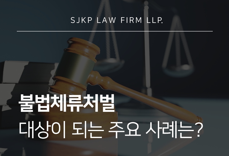 불법체류처벌 절차와 출입국관리법 위반 대응 시 유의사항