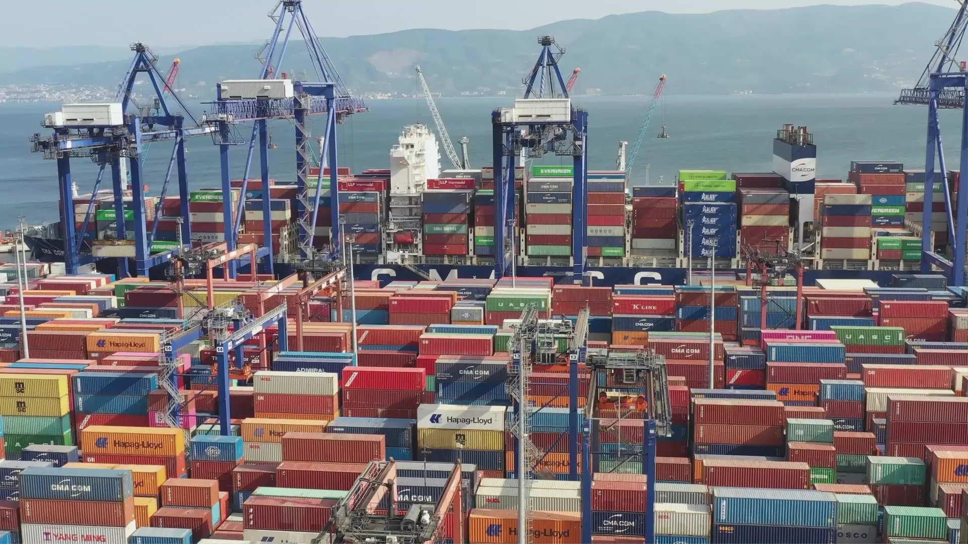 관세청의 관세조사 절차