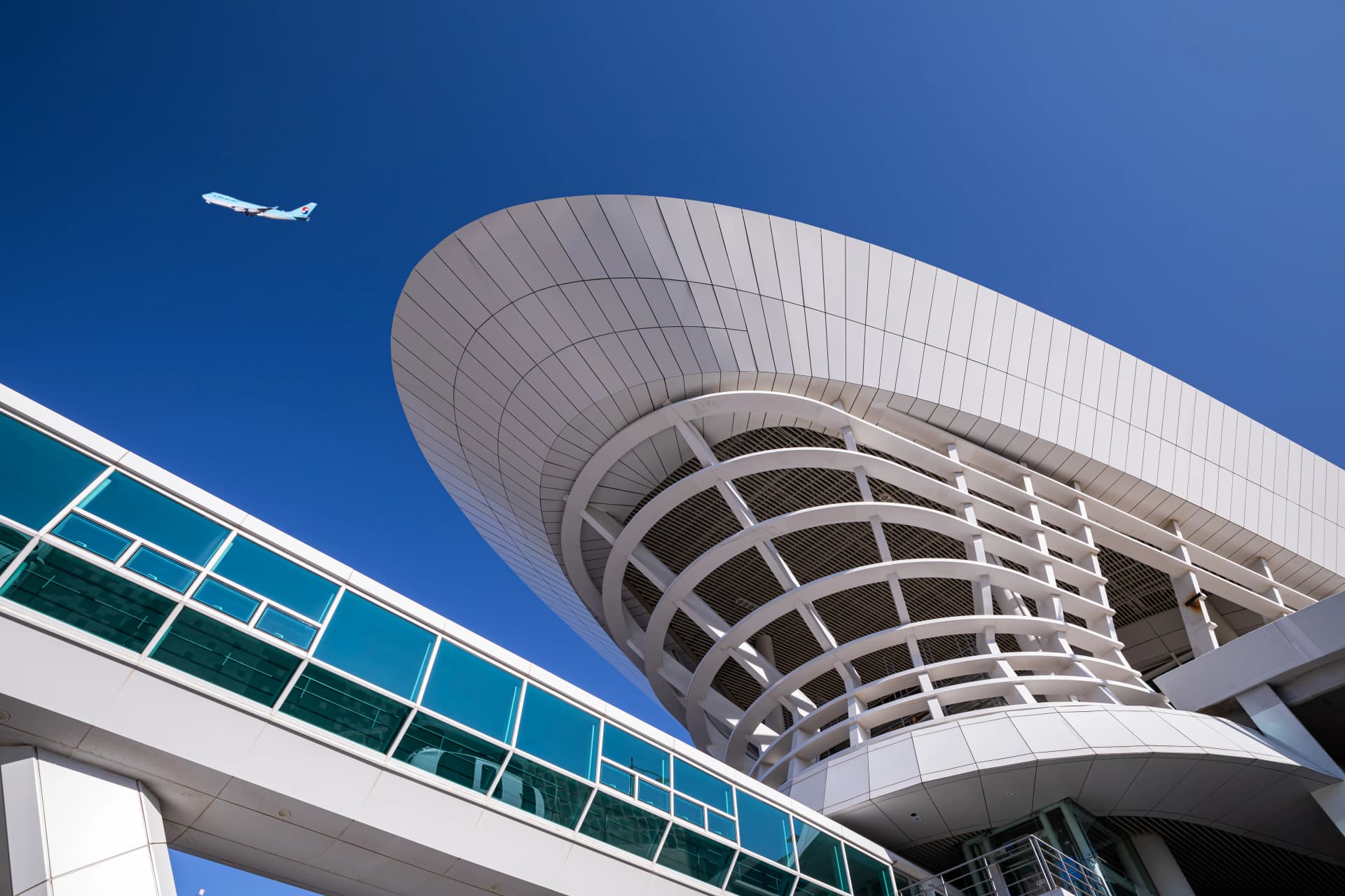 출입국사범심사 결정 내용 법률 정보