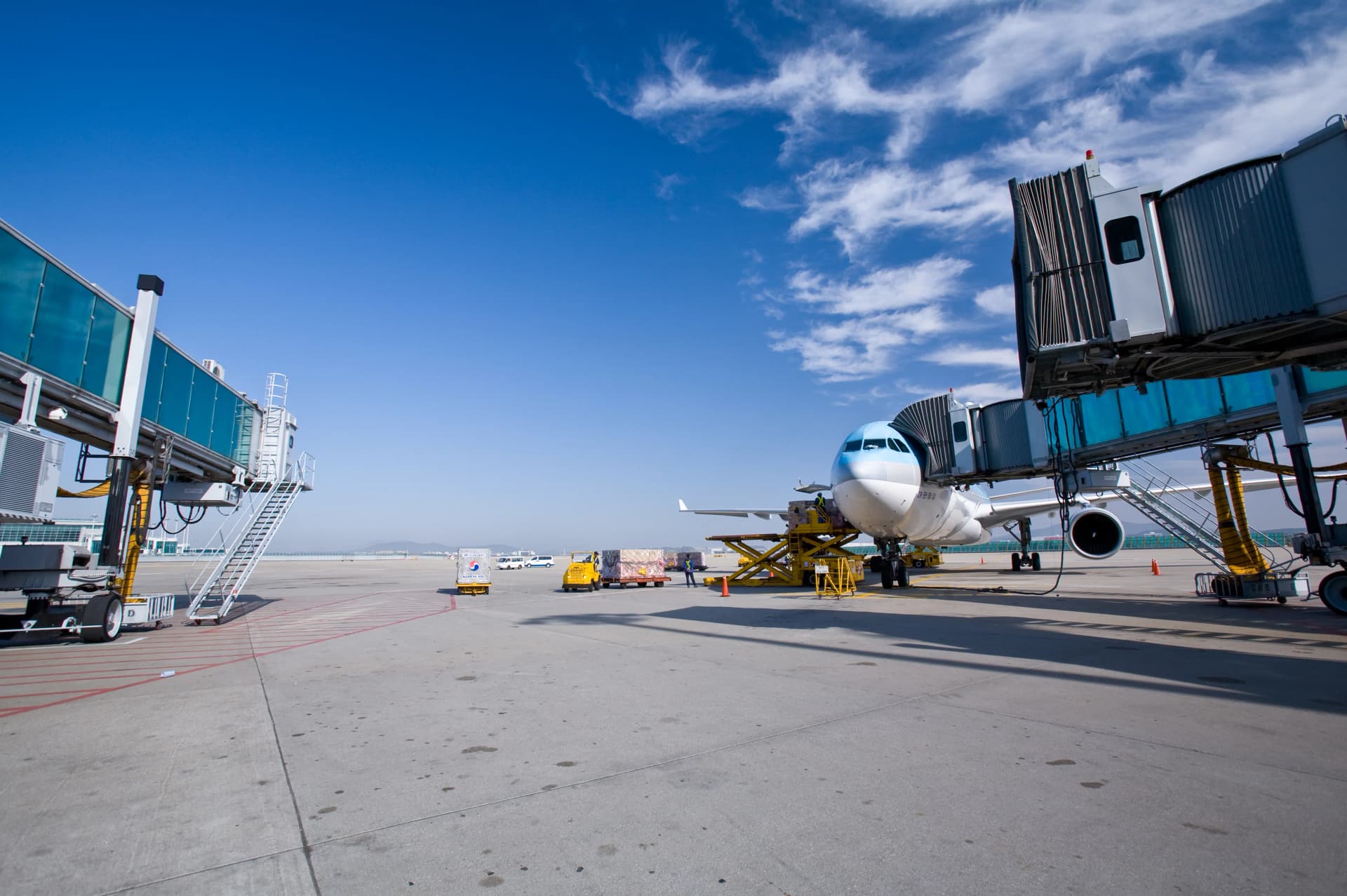 출국금지해제 법적 근거 출입국관리법 위반