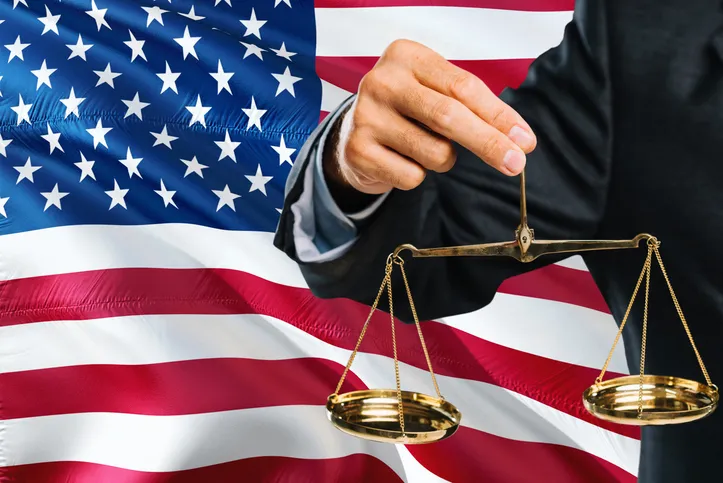 미국소송 | 글로벌 플랫폼 기업이 점검해야 할 대응 전략