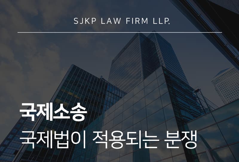 국제소송 대응 핵심과 국제법의 특징